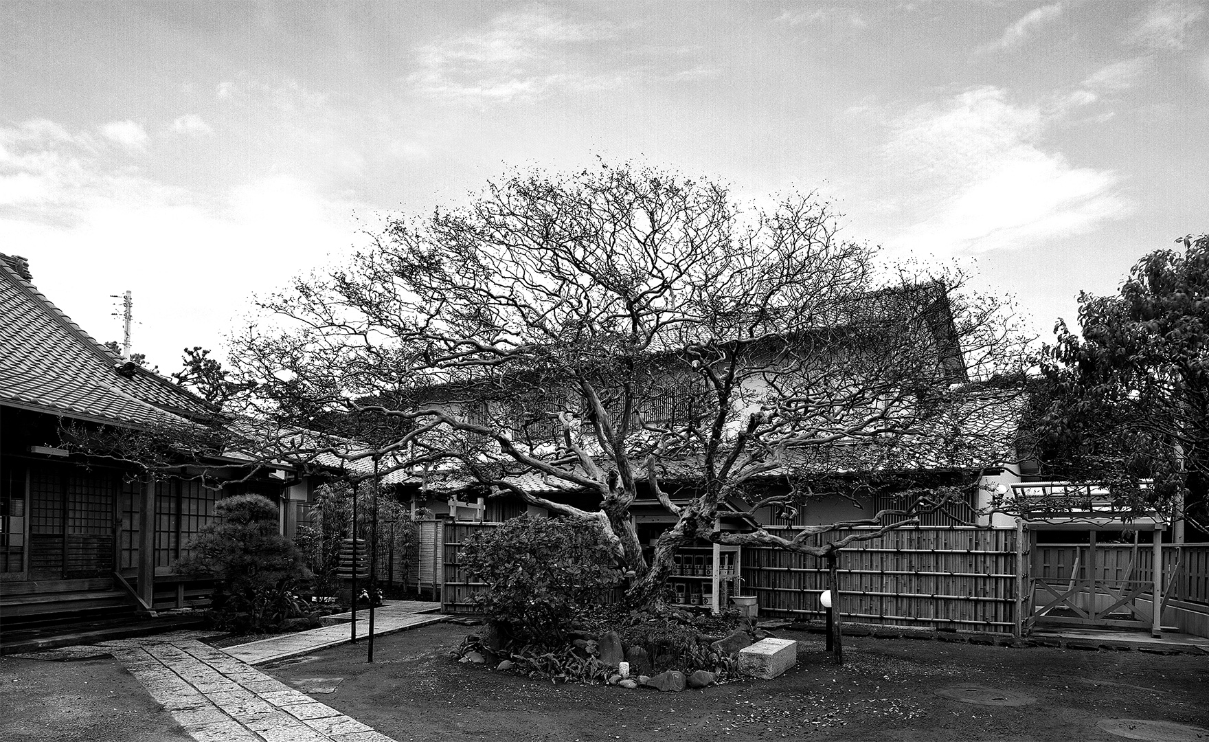 南向山 補陀洛寺